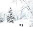 Two dark-colored dogs walking on a snow-covered path surrounded by trees heavily laden with fresh white snow